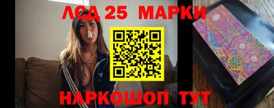 spice Бердск