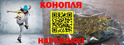spice Бердск