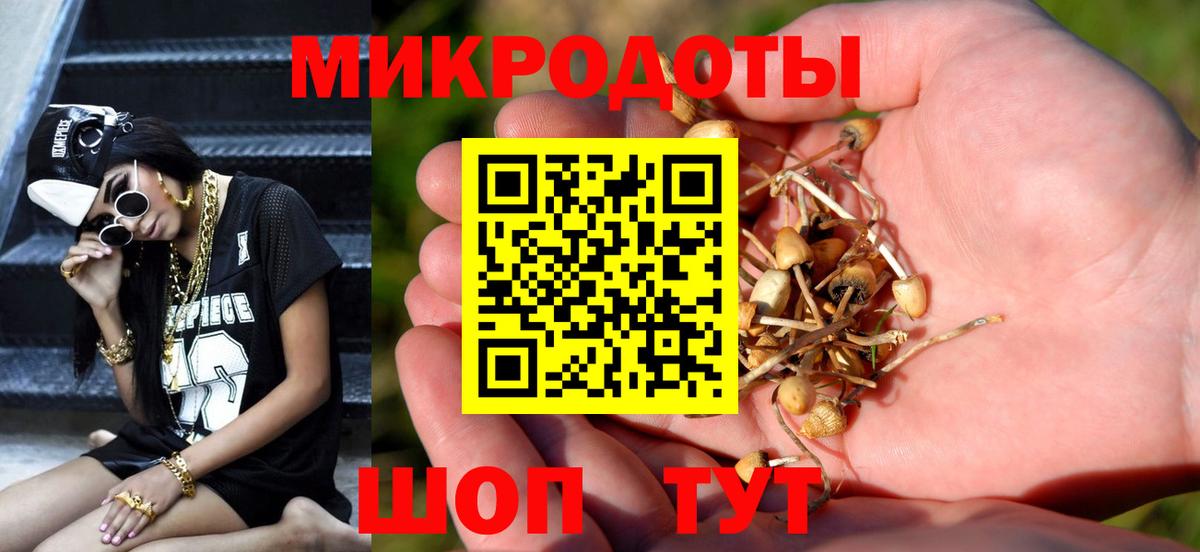 Псилоцибиновые грибы GOLDEN TEACHER  Вход с VPN  Пушкино 